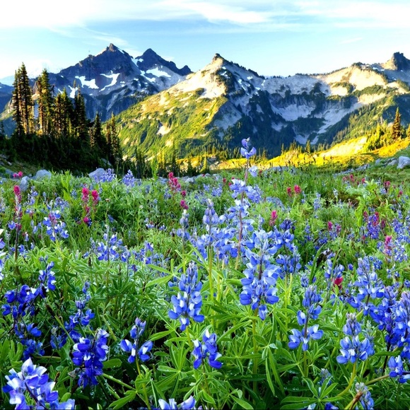 Meet your Posher, Bianca - Picture 1 of 1